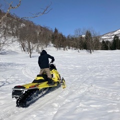 ニセコ，アンヌプリエリア居酒屋アルバイト募集中の画像