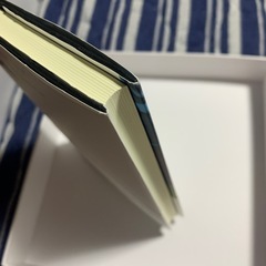 美品／ブラックボックス　砂川文次作品の画像