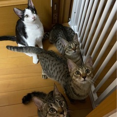 元気いっぱい4兄妹！