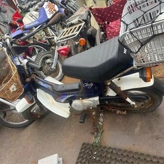 ホンダ Chaly （シャリー）不動車部品取り・レストア ベース函館引き取り限定の画像