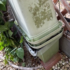 大型プランター&植木鉢の画像