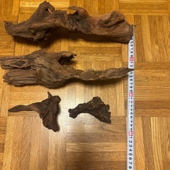 流木4点セットの画像