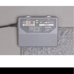 中古品　ホットカーペット　3畳　IRIS oyaOYAMAの画像