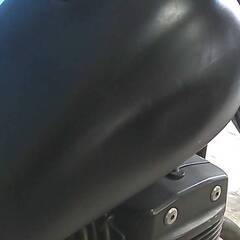 HONDA レブル250-2 黒 エンジン始動動画 自賠責保険で乗れます 半額配送キャンペーン 限定 現状渡し諸経費￥0- 横浜 P-Yard の画像