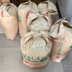 令和7年度 くず米
の画像