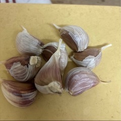 にんにくの画像