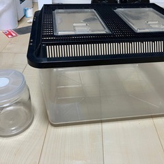 飼育ケース特大（カブト・クワガタ）の画像