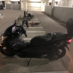 PCX125の画像