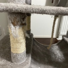 キャットタワーの画像