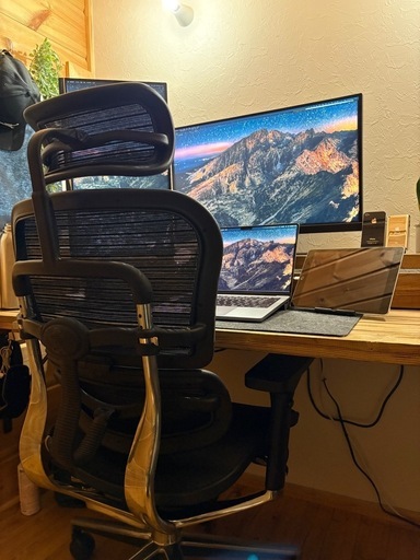 オフィスチェア　エルゴヒューマン