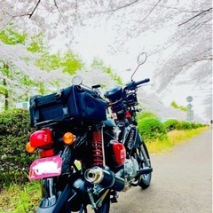 ホンダ CC110 黒色の画像