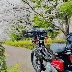 ホンダ CC110 黒色の画像