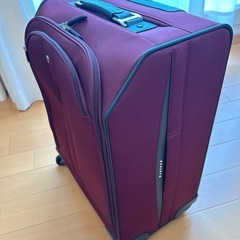 プロテカ 超軽量 マックスパス ソフトキャリー 機内持込最大級40Lの画像