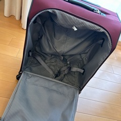 プロテカ 超軽量 マックスパス ソフトキャリー 機内持込最大級40Lの画像