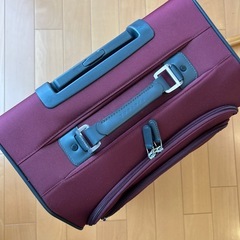 プロテカ 超軽量 マックスパス ソフトキャリー 機内持込最大級40Lの画像