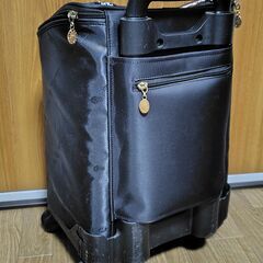 【まだ受付中･送付可能】大物収容可能 ショッピングカート ショッピングキャリー シェニールテープ使い♪ 黒 株式会社カワサキ 早い者勝ちです✨✨  の画像