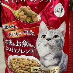 キャットフード　の画像