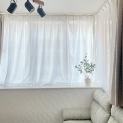 ニトリ　カーテン レース セットの画像
