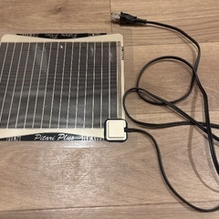 ヤモリ育成セットの画像