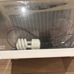 ヤモリ育成セットの画像