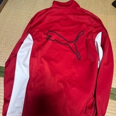 ジャージの画像