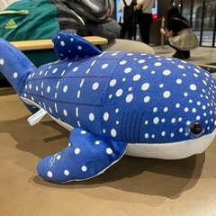 沖縄美ら海水族館 ジンベエザメぬいぐるみ 45cm Sサイズ 公式グッズ 目玉に軽いキズありの画像