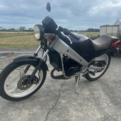 お気に入り付ける方は購入意思がある方のみお願いします！SUZUKIウルフ50の画像