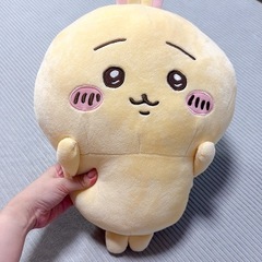 ハチワレ うさぎ カブトムシセットの画像