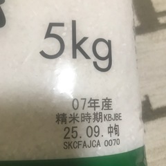 新米　5kg 新潟こしいぶき　の画像