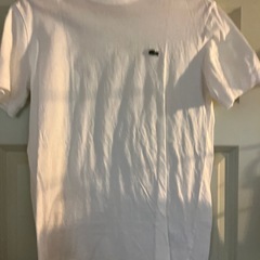 LACOSTE ラコステ Tシャツの画像