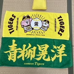 阪神タイガース応援（？）セット（ポンチョ、タオル2枚）の画像