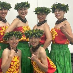 🌺横浜フラダンス　土曜　経験者の方募集の画像