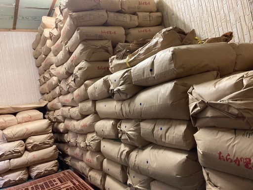 【完売】令和７年度産　新米　コシヒカリ　中米　30キロ