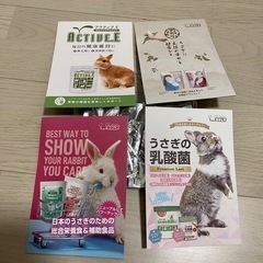ラビットフードの画像