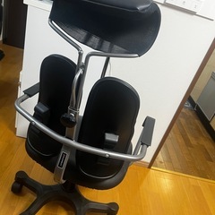 DUOREST デスクチェア の画像