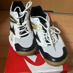 MIZUNOの画像