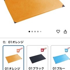 レジャーシートの画像