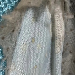ペットベッドの画像