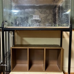 90センチ水槽　アクアリウム　900×450×450　　　の画像