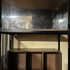 90センチ水槽　アクアリウム　900×450×450　　　の画像
