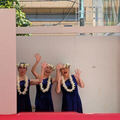 🌺横浜フラダンス　NEWクラス　木曜中級の画像