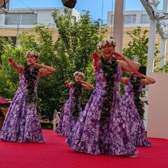 🌺横浜フラダンス　NEWクラス　木曜中級の画像