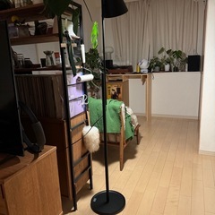 Idee CAMPANA FLOOR LAMP Blackの画像