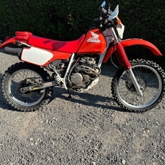 XLR250R オフロード　250cc
の画像