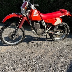 XLR250R オフロード　250cc
の画像