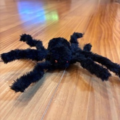 ハロウィン　飾り　スパイダー、ゴーストの画像