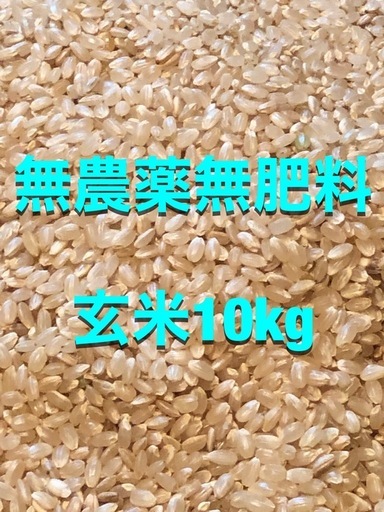 令和七年産無農薬無肥料夢つくし玄米10kg