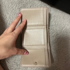 ニコアンドのサイフの画像