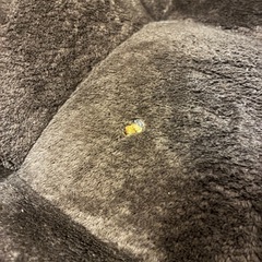 座椅子の画像