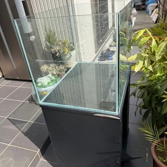 水槽(オーバーフローガラス水槽)の画像